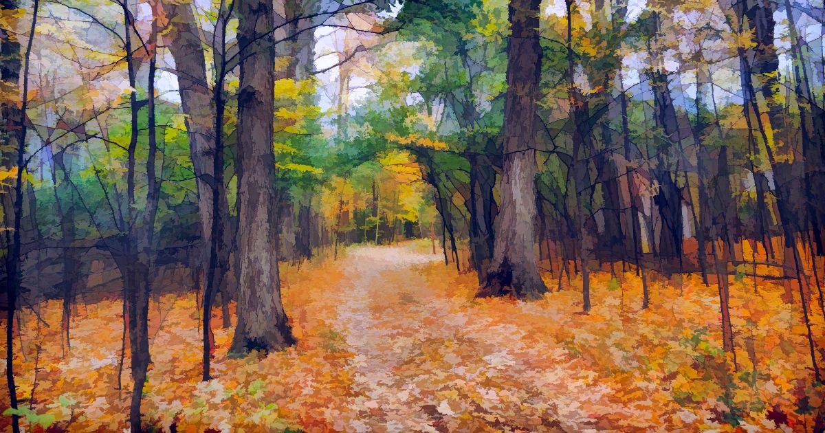 Painting of fall forrest