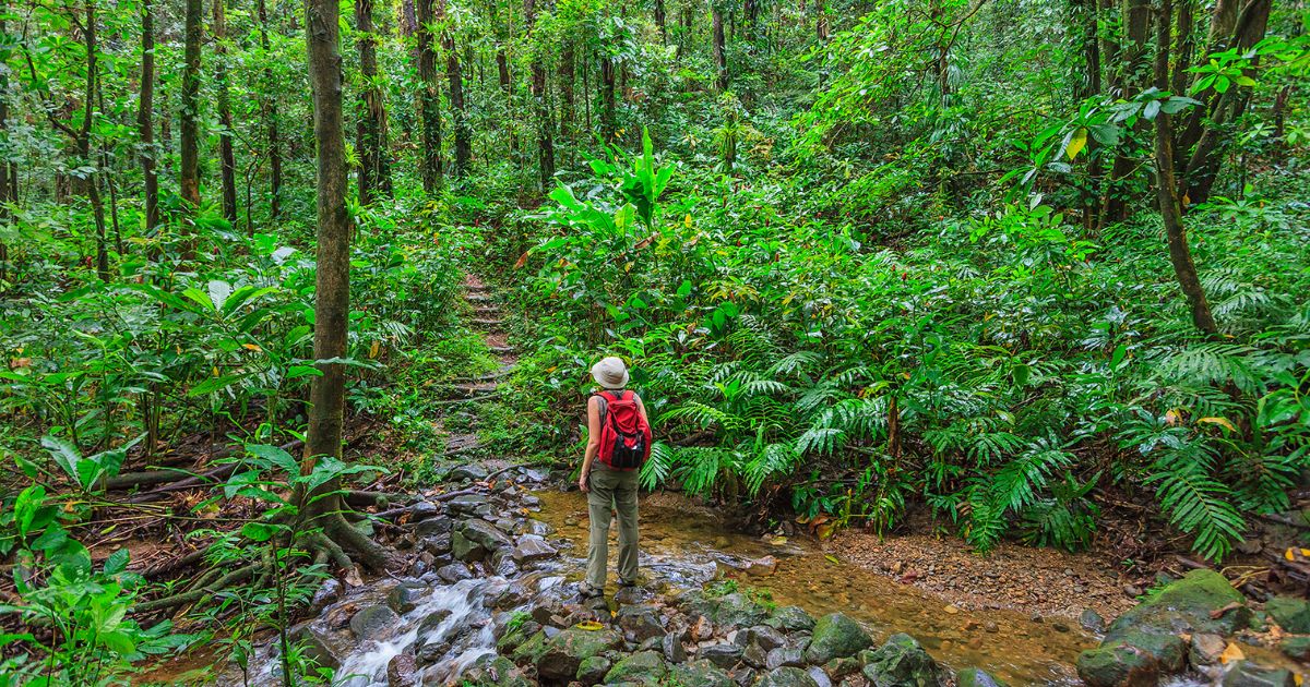 Hiker on a wooded Vermont hike