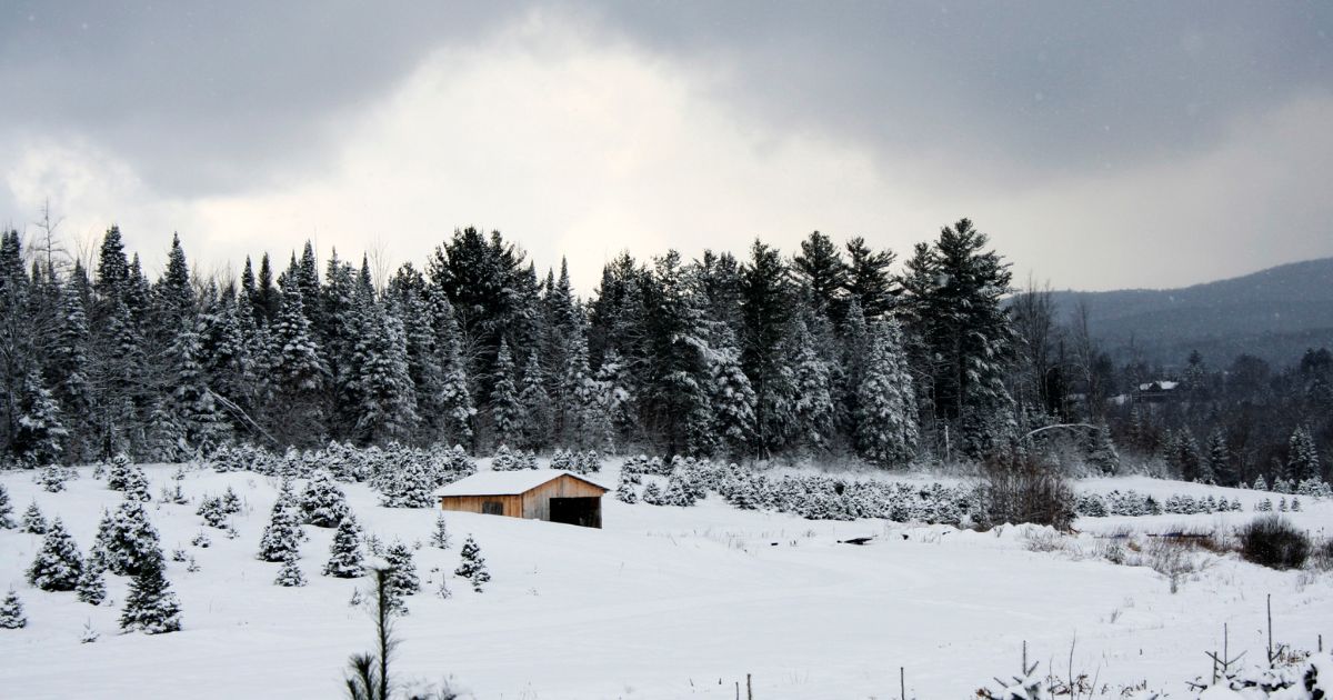 Snowy Vermont winter scene 