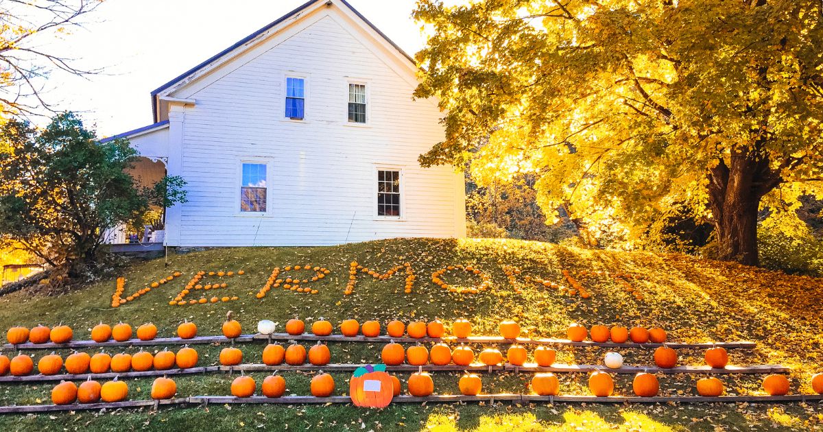 House and field of pumpkins that spell out Vermont