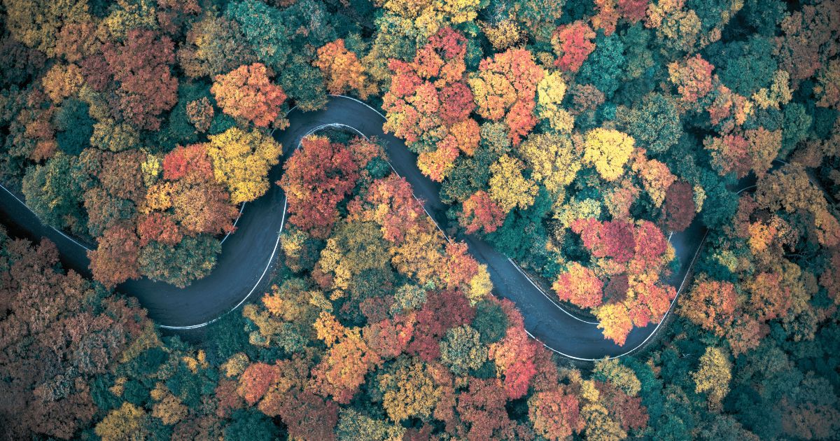 Birds eye view of Vermont road with fall foliage