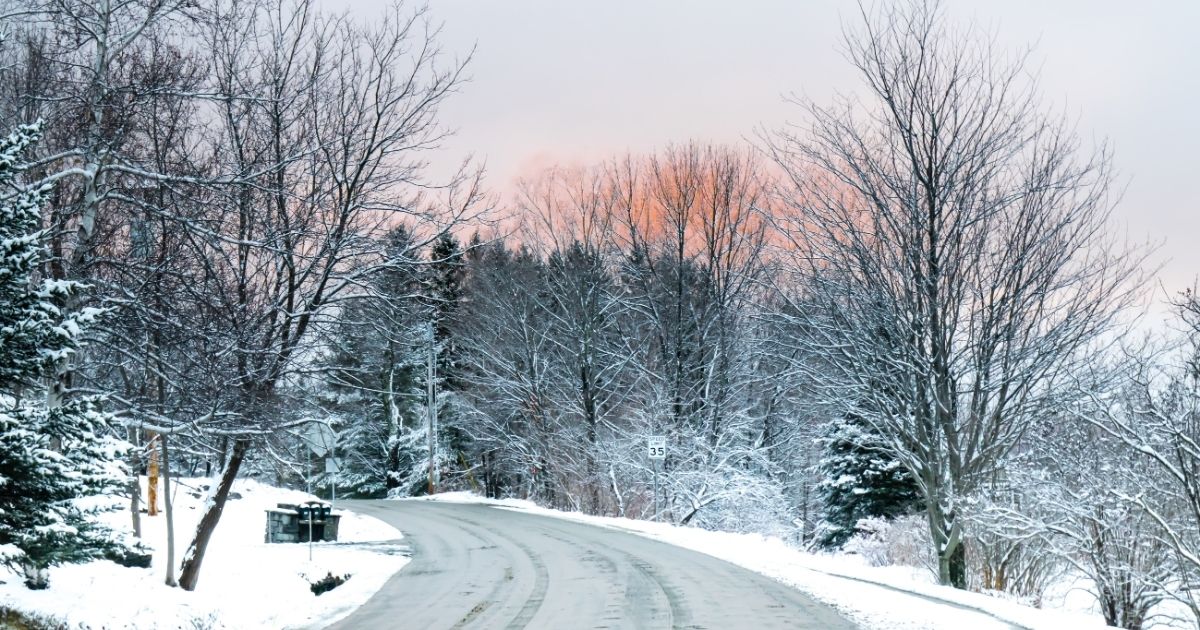 Vermont winter road lined with snowy trees